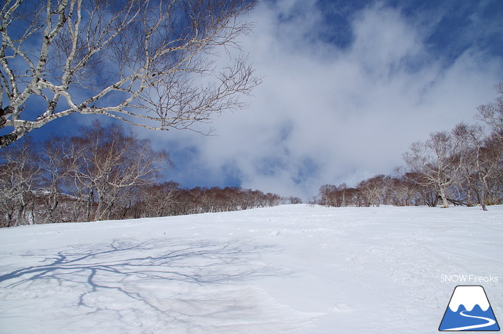 ニセコアンヌプリ国際スキー場 beautiful spring day!!